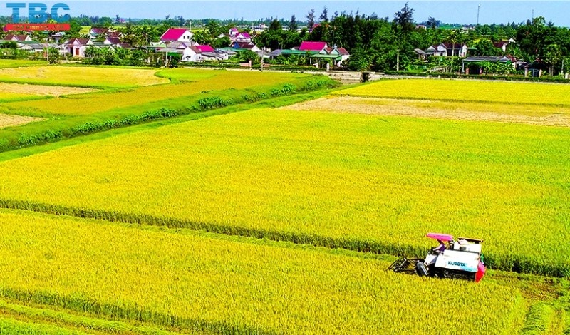 nông nghiệp Hà Tĩnh