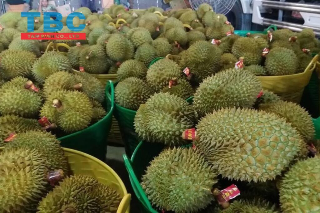 Giá sầu riêng có dấu hiệu hạ nhẹ so với đợt cao điểm tháng 3–4/2025
