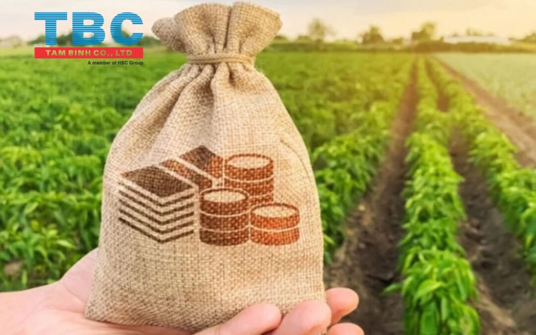 Những thứ cần biết về Luật Thuế GTGT từ 01/07/2025