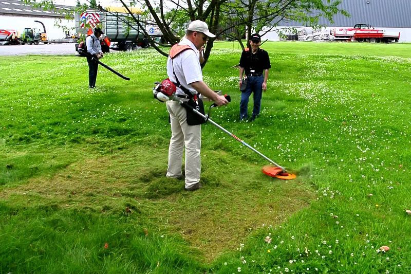 Máy cắt cỏ Maruyama BC245HT và Máy cắt cỏ Maruyama BC275HT