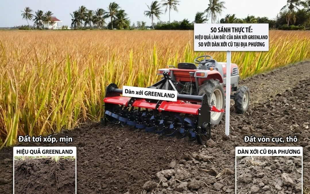 SO SÁNH THỰC TẾ: HIỆU QUẢ LÀM ĐẤT CỦA DÀN XỚI GREENLAND SO VỚI DÀN XỚI CŨ TẠI ĐỊA PHƯƠNG