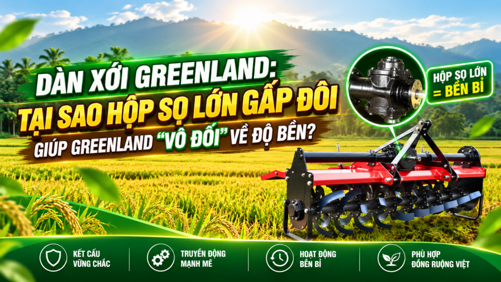DÀN XỚI GREENLAND TẠI SAO HỘP SỌ LỚN GẤP ĐÔI GIÚP GREENLAND VÔ ĐỐI VỀ ĐỘ BỀN
