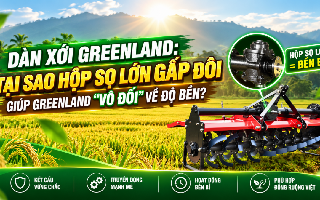 DÀN XỚI GREENLAND: TẠI SAO HỘP SỌ LỚN GẤP ĐÔI GIÚP GREENLAND “VÔ ĐỐI” VỀ ĐỘ BỀN?